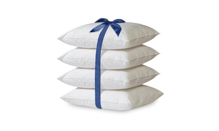2/4 Pack Hypoallergenic Down-Alternative, Throw Pillow Inserts (20" x 20")